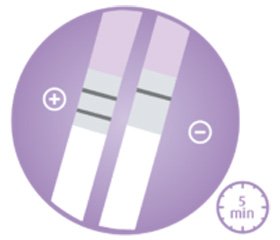 Эффективность тестов  Actim® Partus и Actim® Prom  в предикции преждевременных родов  и преждевременного разрыва плодных оболочек