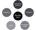 Методи оцінки функції руки при неврологічній патології. Огляд літератури