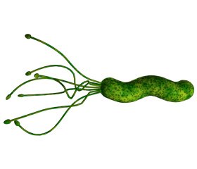 Инфекция Helicobacter pylori в Украине. Как повысить эффективность эрадикации?