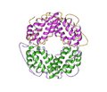 Иммуномодулирующие свойства пробиотиков  на основе Bacillus subtilis:  перспективы клинического применения