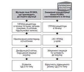 Інгібітори пропротеїнової конвертази субтилізин/кексин типу 9: перспективи холестеринзнижувальної терапії при цукровому діабеті 2-го типу