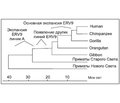 ВИЧ/СПИД-пандемия — проблема, требующая переосмысления К 30-летию открытия вируса иммунодефицита человека