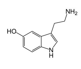 Серотонін і епілепсія