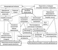 Питание как фактор риска и вмешательство при ревматических заболеваниях