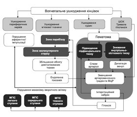 Помилки та ускладнення діагностики та лікування місцевого гіпертензивного ішемічного синдрому при вогнепальних ушкодженнях нижніх кінцівок