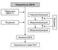 Фенотипи діабетичної хвороби нирок (огляд літератури та власні дані)