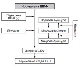 Фенотипи діабетичної хвороби нирок (огляд літератури та власні дані)