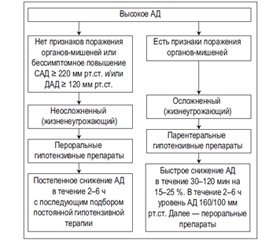 Диагностика и лечение гипертензивных кризов (лекция)