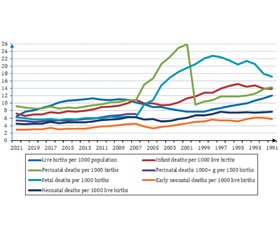 Народжуваність, перинатальна смертність і малюкова смертність в Україні: еволюція з 1991 до 2021 року і сучасні ризики