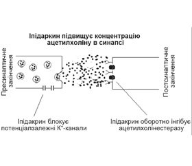 Застосування парентеральних форм іпідакрину в лікуванні захворювань центральної й периферичної нервової системи