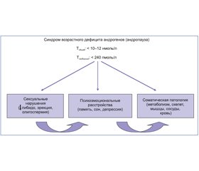 Взгляд патофизиолога-эндокринолога на проблему возрастного дефицита андрогенов у мужчин (LOH-синдром)