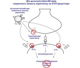 Тразодон у лікуванні депресії після інсульту