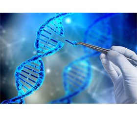 CRISPR-Cas: короткий огляд