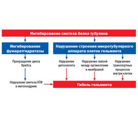 В чем опасность детской песочницы