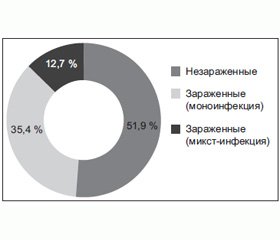 Зараженность клещей Ixodes persulcatus возбудителями различных заболеваний в эндемичном регионе Европейской части России