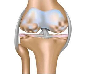 The changes of bone metabolism in gonarthrosis