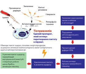 Постковідний синдром: механізми ураження органів-мішеней. Особливості метаболітотропної терапії