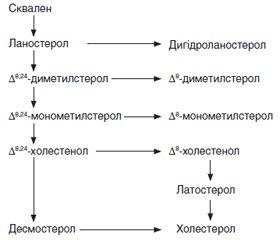 Вплив ендокринотерапії раку молочної залози на ліпідний профіль сироватки крові жінок у постменопаузі