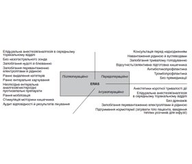 Періопераційний менеджмент відповідно до принципів програми швидкого післяопераційного відновлення (ERAS) у профілактиці гострої кишкової непрохідності (клінічна лекція)
