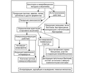 Препараты, восстанавливающие микробиоценоз, как этиотропная терапия острых кишечных инфекций у детей