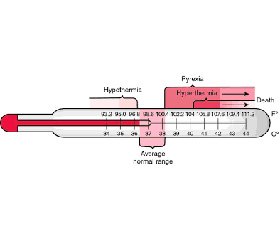 Пирексия и антипиретическая терапия у больных при критических состояниях